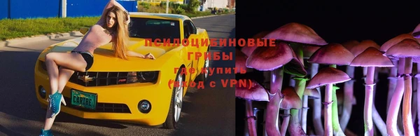 первитин Балахна