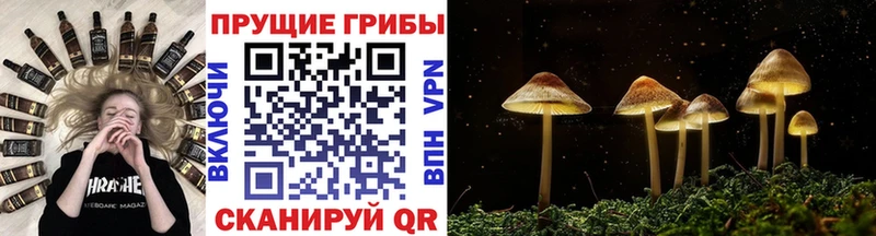 Галлюциногенные грибы MAGIC MUSHROOMS  Гаджиево 