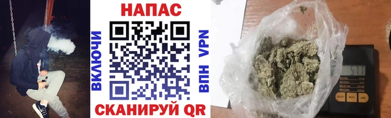 Конопля индика  даркнет сайт  Гаджиево 